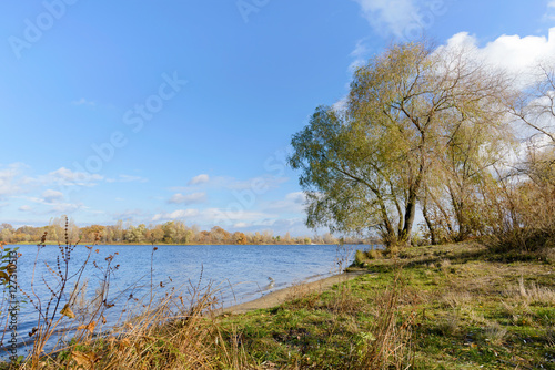 Autumn Trees  Close to the Dnieper River