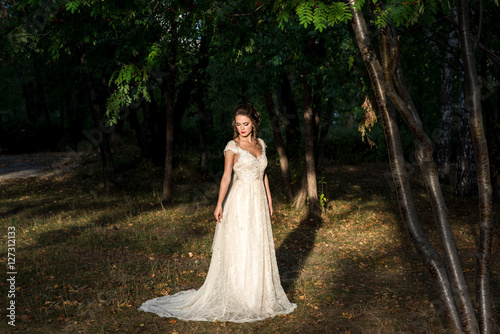Beautiful bride in a wedding dress standing in a clearing in the park. Autumn time