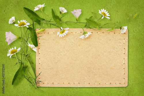 Bindweed and daisy flowers ...