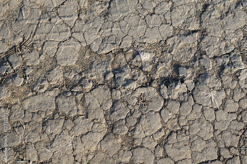 Texture of withered earth with cracks