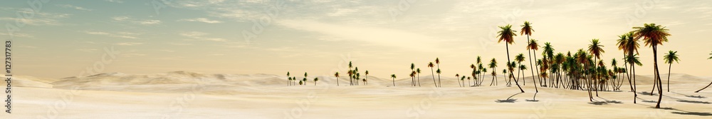 panorama of desert and palm trees.