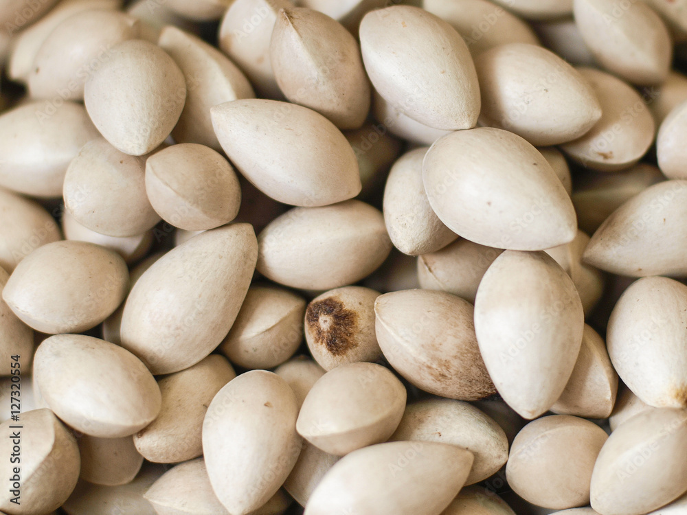 closed up of gingo seeds closed up of gingo seeds