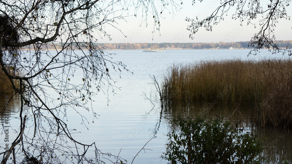Blick zwischen Schilf und Ästen aufs Wasser Blick zwischen Schilf und Ästen aufs Wasser