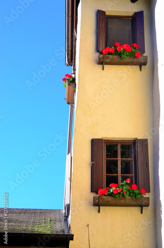 Fototapeta Naklejka Na Ścianę i Meble -  geraniums on the balcony in Gudon South Tyrol, Italy