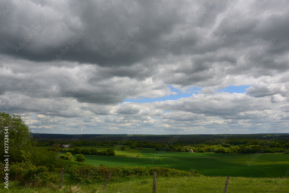 Fototapeta premium Paysage