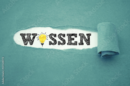 Intuition Wissen Verstand Fachwissen photo