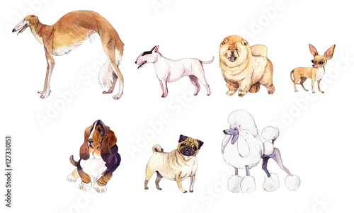 Watercolor illustration set of dogs