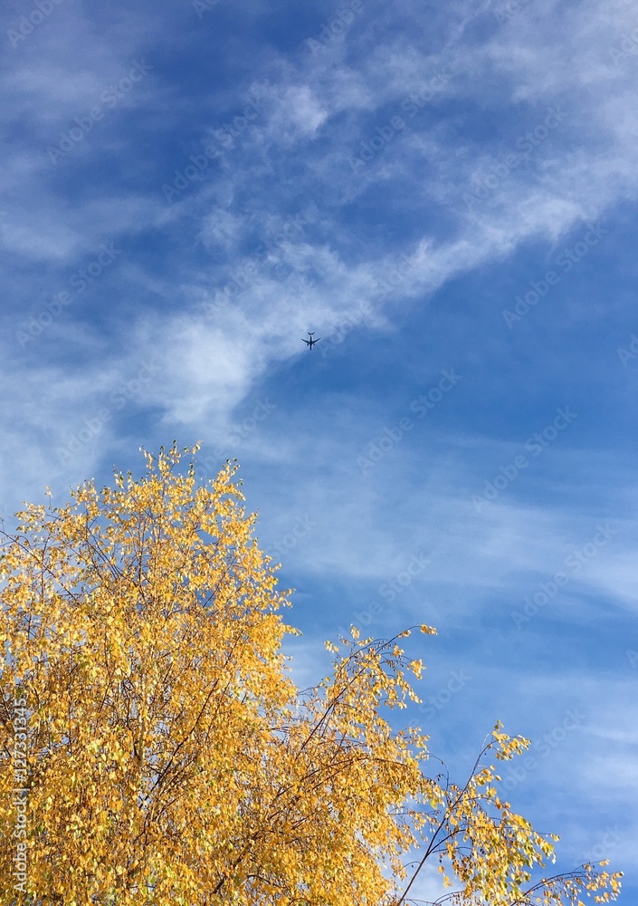 Fototapeta premium Autumn Getaway