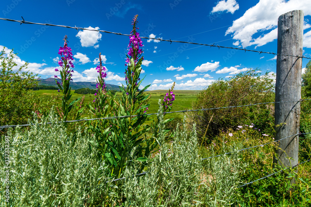 Obraz premium Mountain Fence