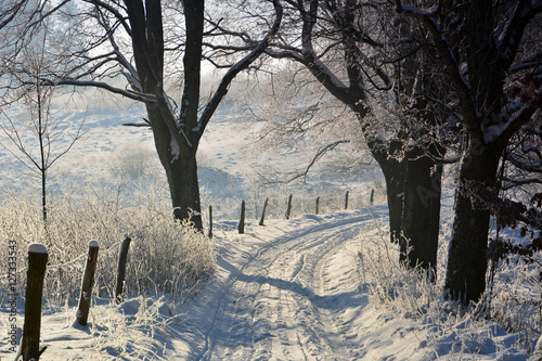 Fototapeta Naklejka Na Ścianę i Meble -  Winter sunny landscape