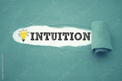 Intuition Wissen Verstand Fachwissen photo