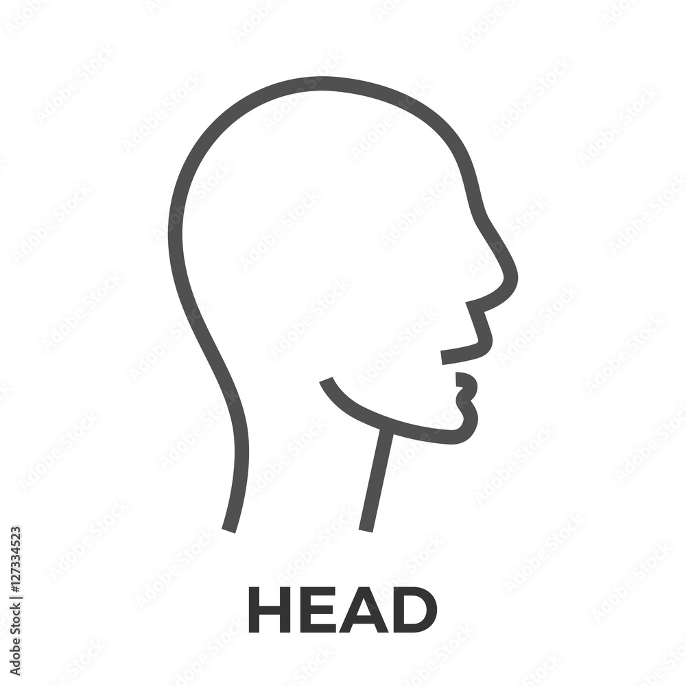 Head thin line vector icon