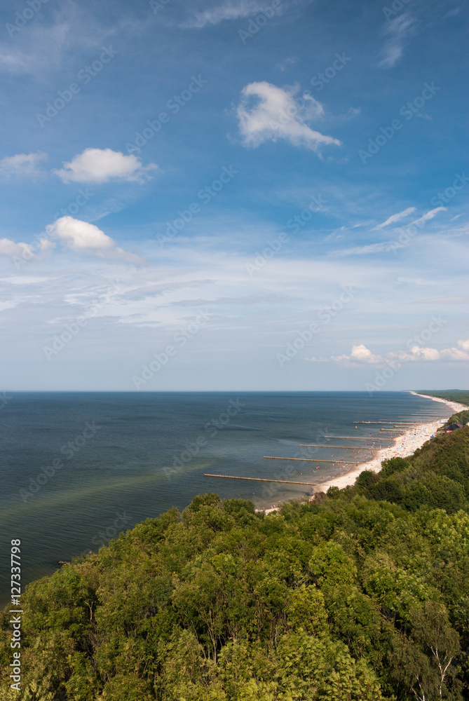 A view from above on the trees and Baltic seaside in Poland