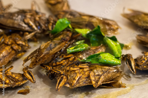 Closeup of basil fried crickets at a Thailand street market