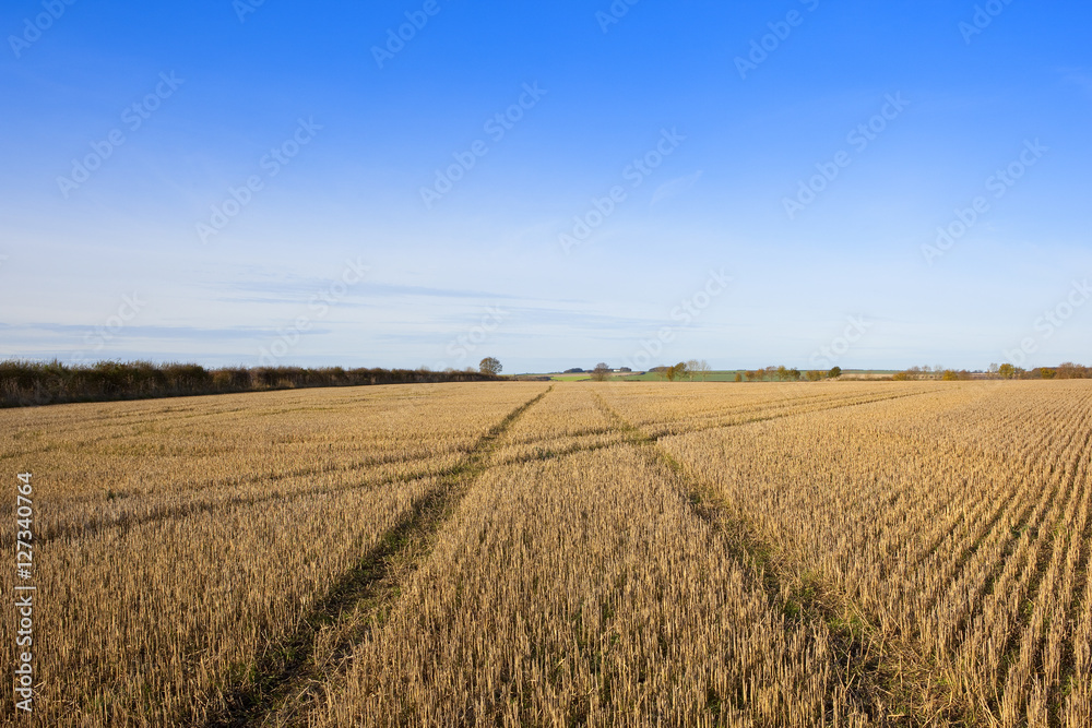 textured straw stubble