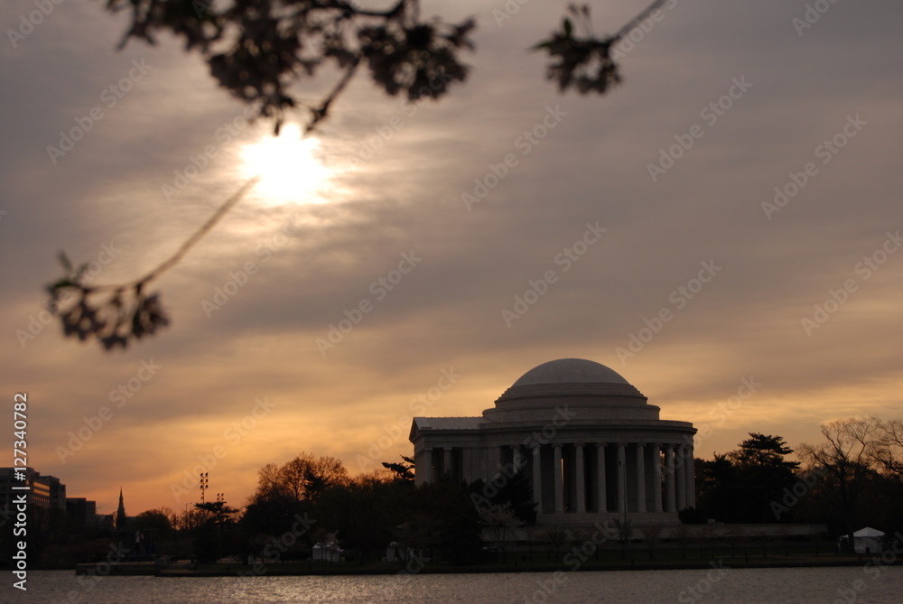 Washington DC cherry blossoms with silhouette Jefferson Memorial