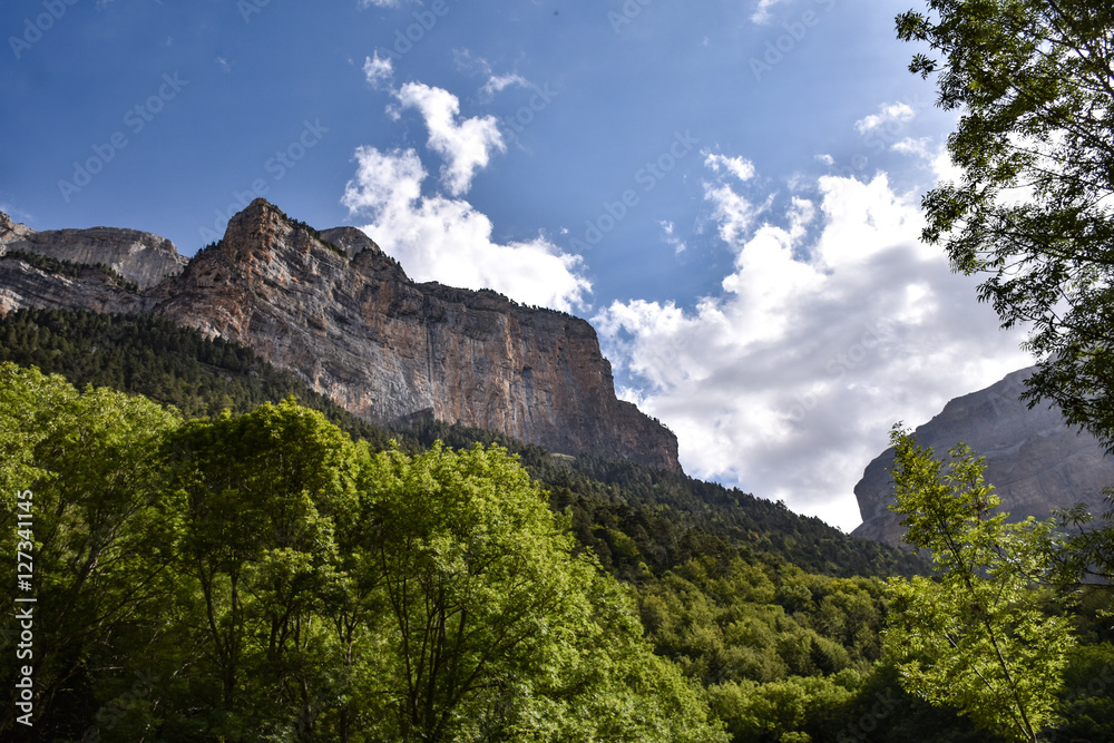 View of a moutain cliff in the summer