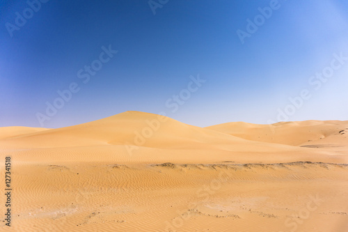 Desert Sand Sahara