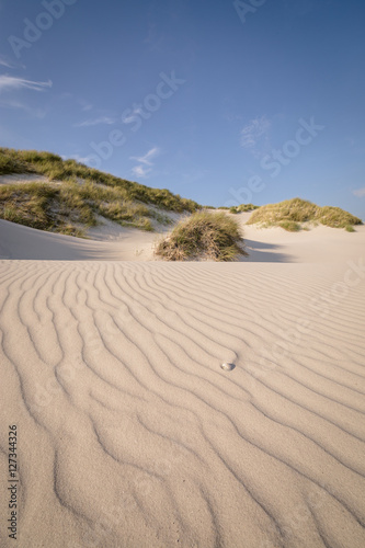 Wellen Struktur im Sand, Düne mit Gras
