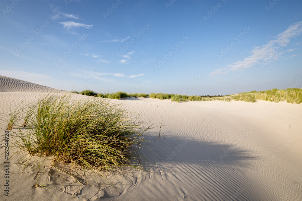 Fototapeta premium Dünen Gras und Sand
