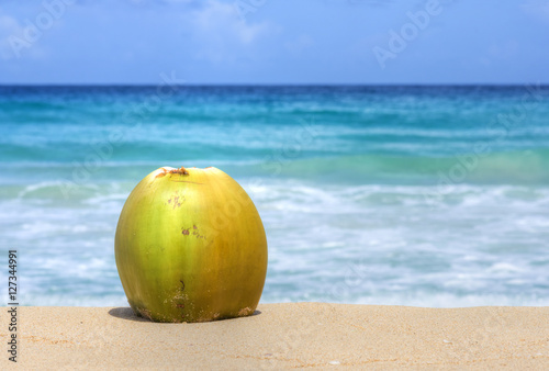 Coconut on sunny Caribbean beach