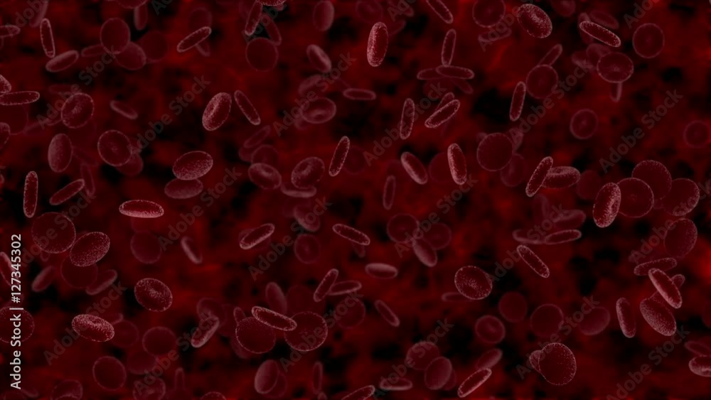 Blutfluss Blutplättchen