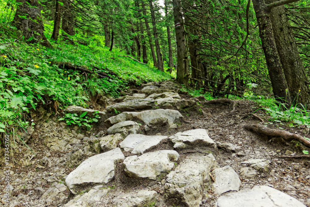 Fototapeta premium rocky mountain trail