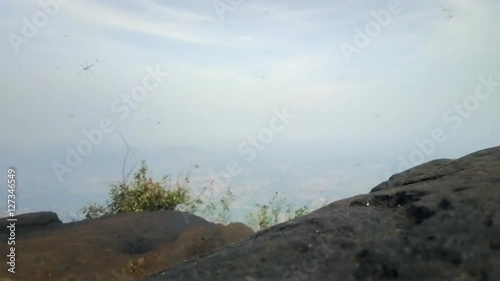 Thousands Dragonflies hover on top of sacred mountain Tiruvannamalai (Tamilnad, India), where during holidays and to monastery rises thousands of Indian pilgrims
 photo