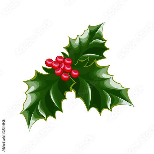 A sprig of mistletoe plants. Green leaves ,red berries. Christmas decoration.Vector illustration.