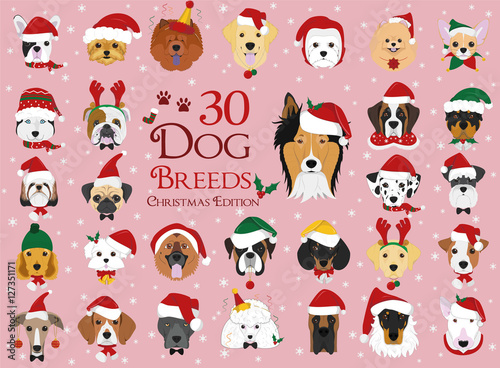 Set of 30 dog breeds with Christmas and winter themes