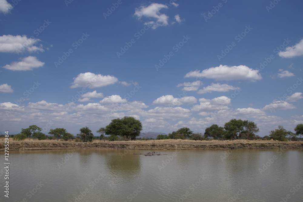 Africa Landscape