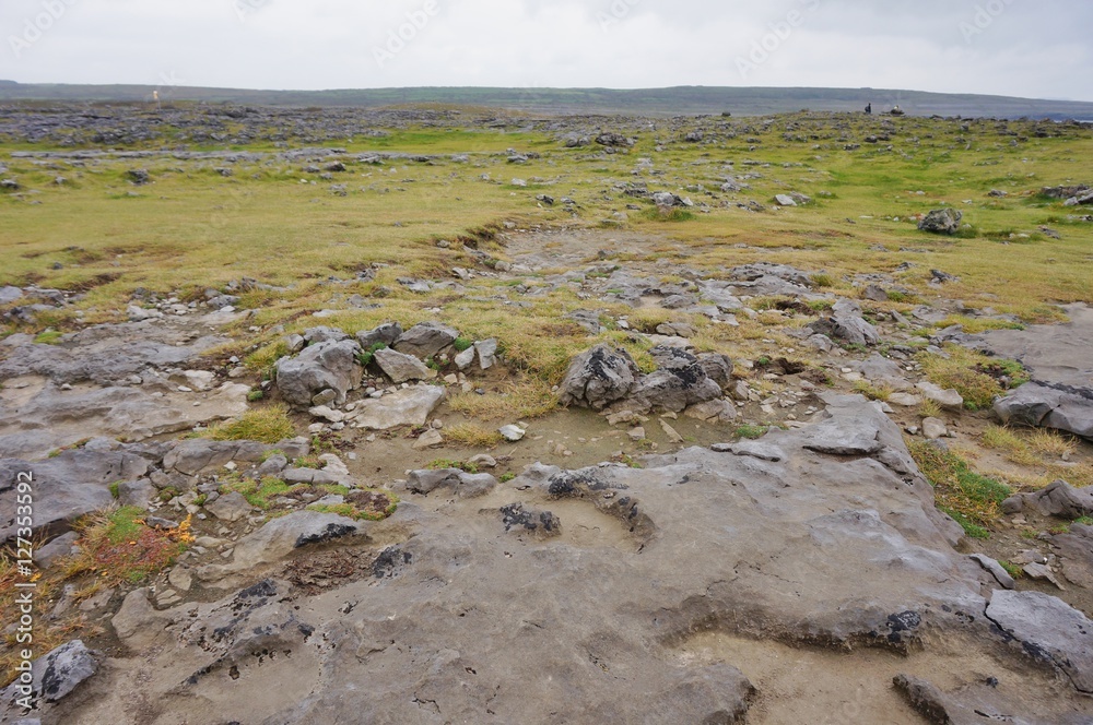 Karst rock landscape in the Burren region in Western Ireland by the Atlantic Ocean