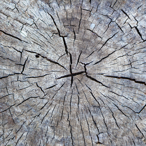 Coseup old wooden cut texture