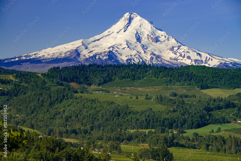 Mt Hood from the Hood River Valley