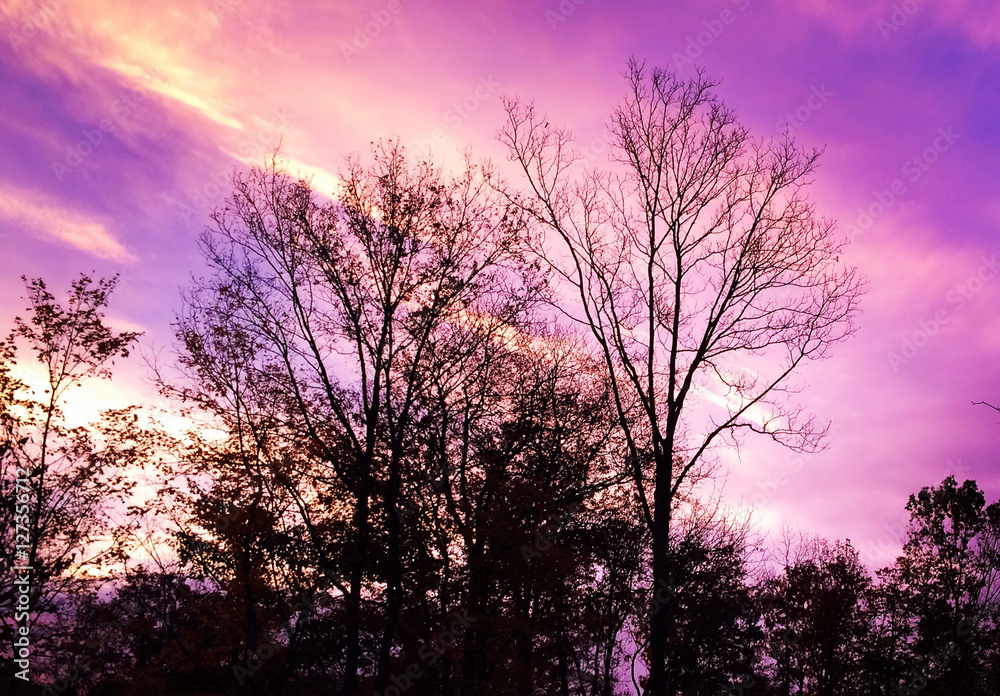Sunrise Sky Sunrise Sky