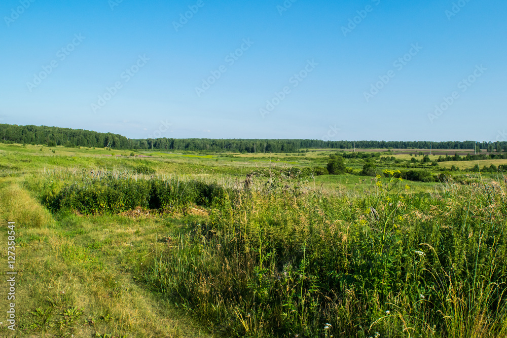 Russian meadow the spirit of expanse