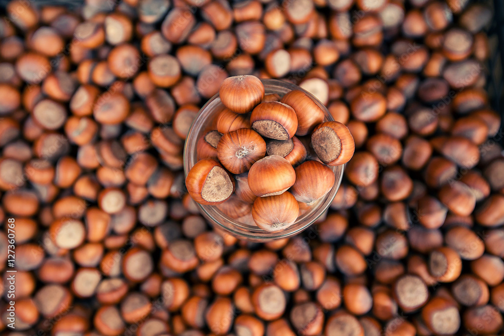 Hazelnuts in the bowl on Hazelnut background Hazelnuts in the bowl on Hazelnut background