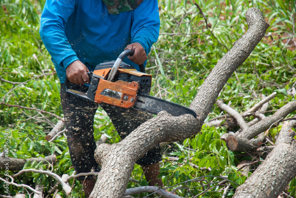 Obraz premium Lumberjack 