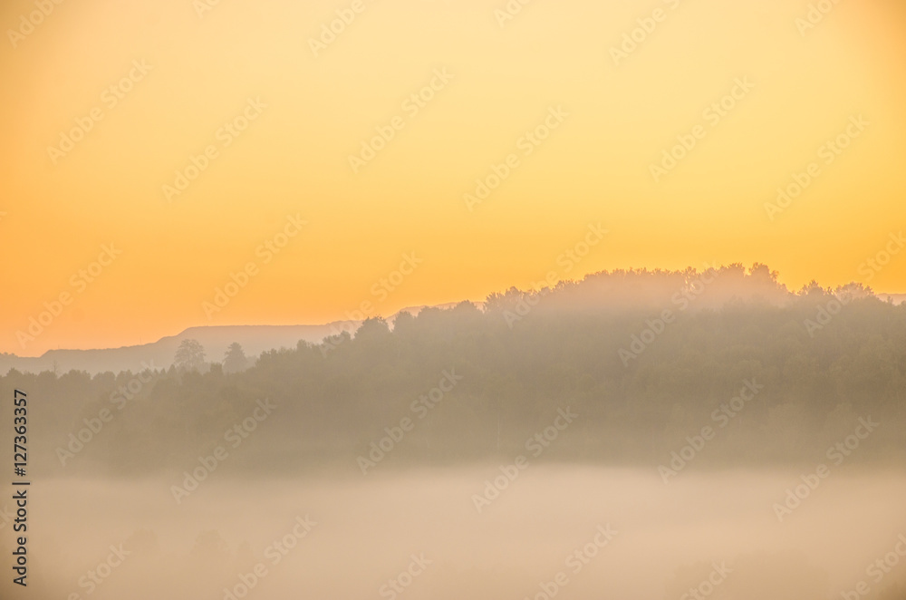 thick morning fog in the summer forest