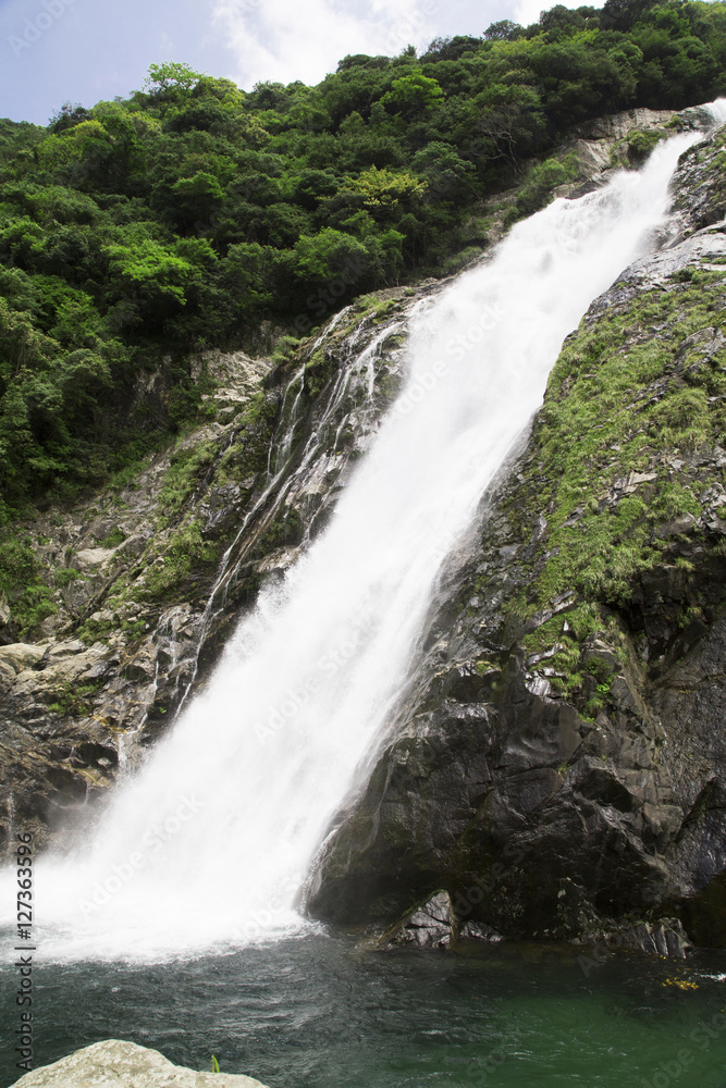 屋久島 大川の滝