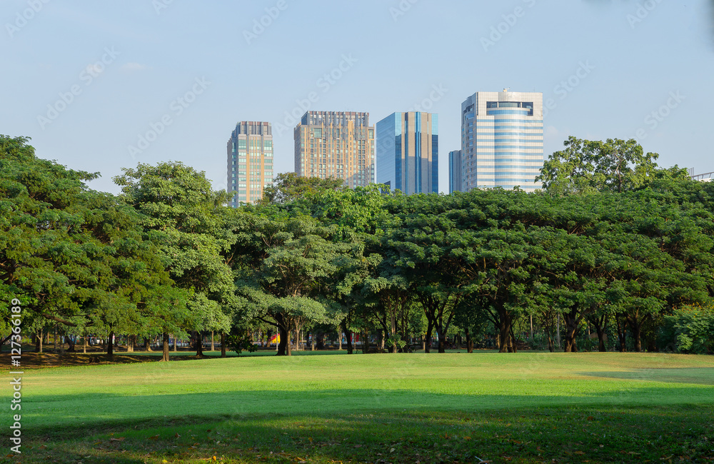 Obraz premium park in city, Bangkok, Thailand