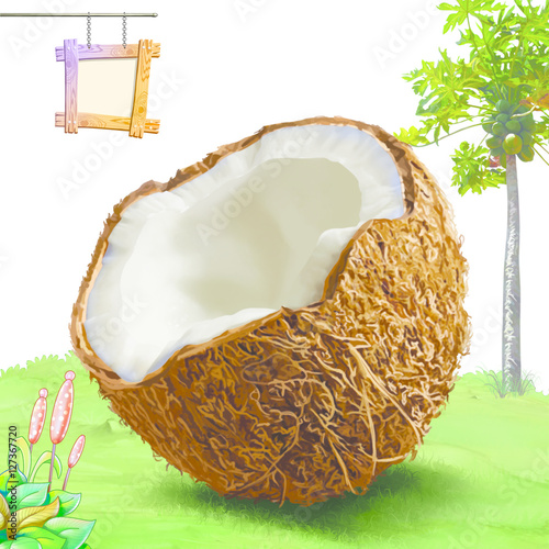 Coconut