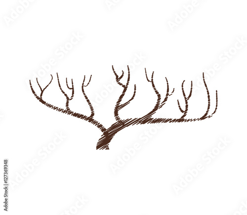 tree branch hand drawing isolated icon vector illustration design