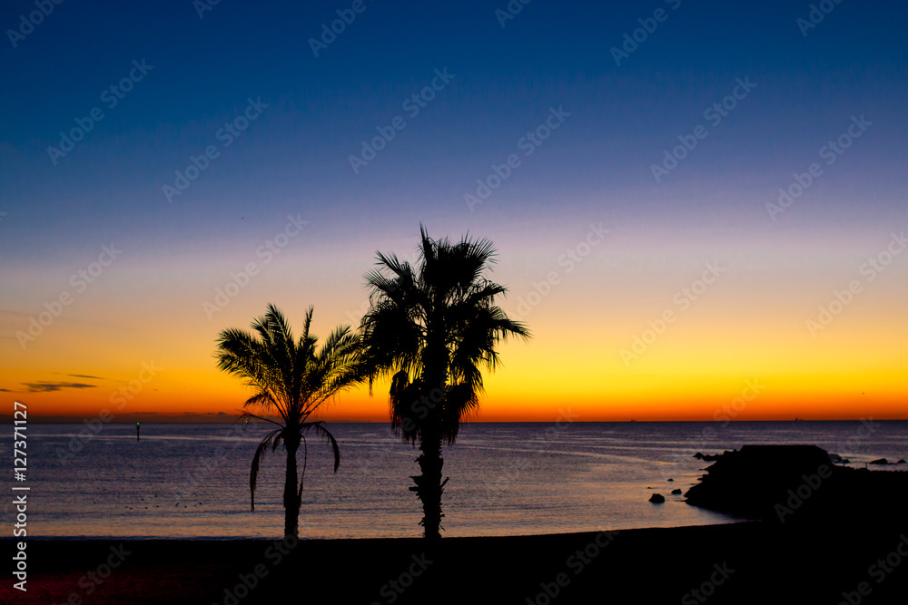 Palm trees silhouetted against the sunset at sea