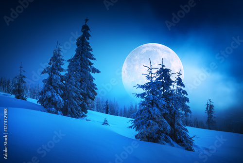 Moon rise in a winter forest
