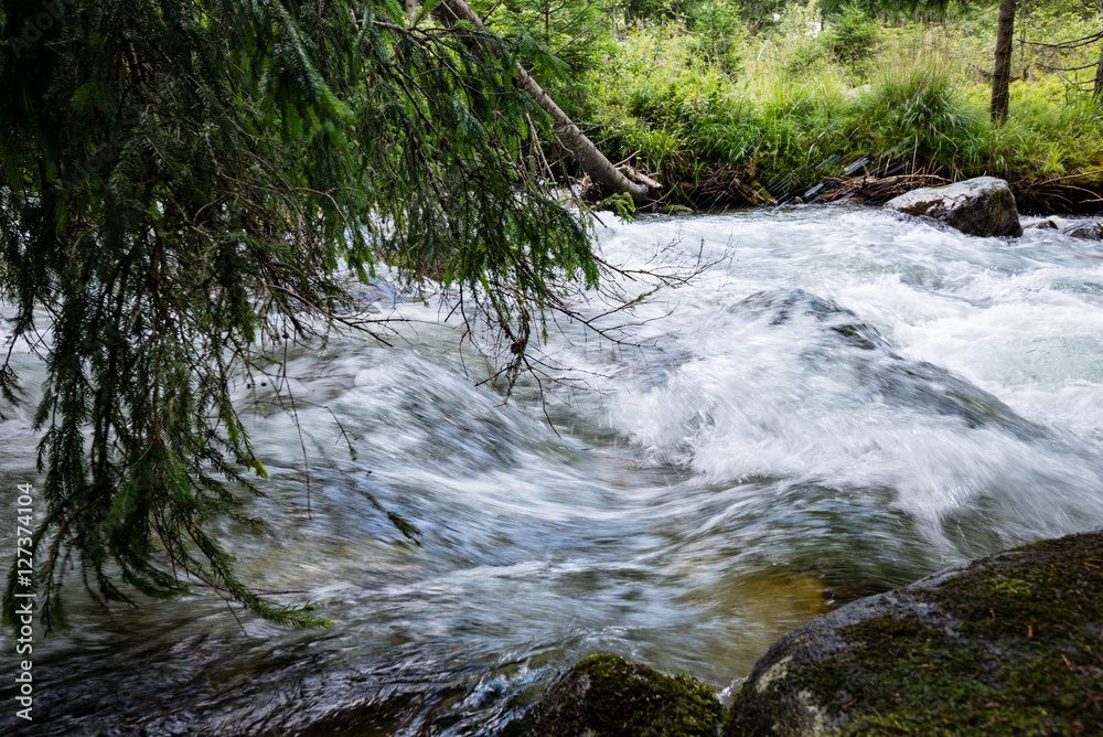 Fototapeta premium mountain river in summer