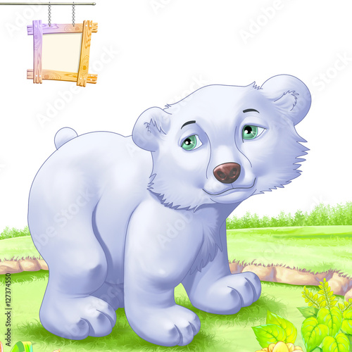 Bear