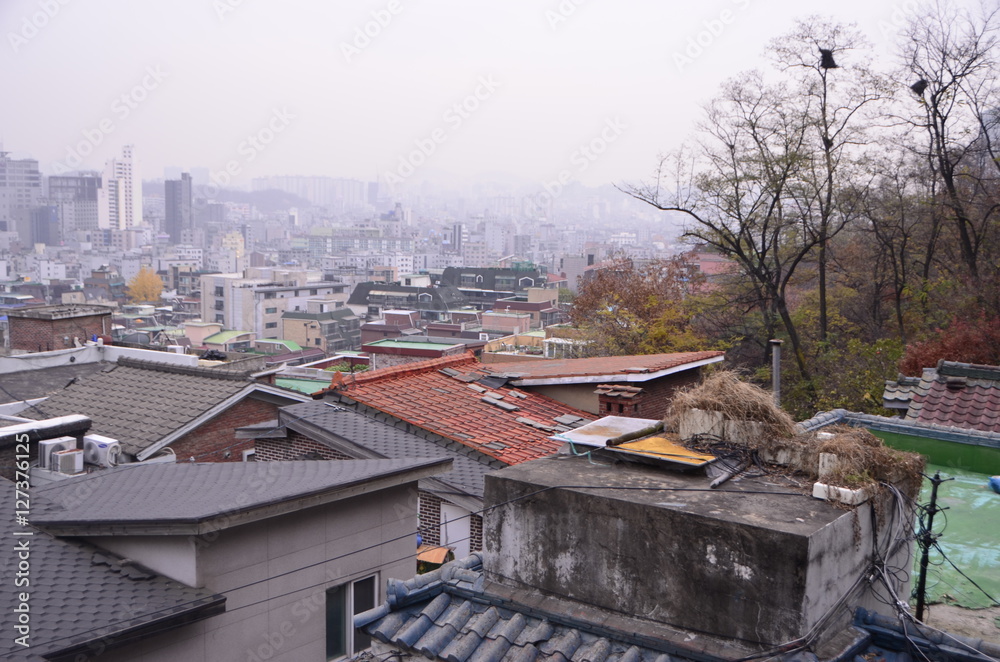 Fototapeta premium 가을 풍경