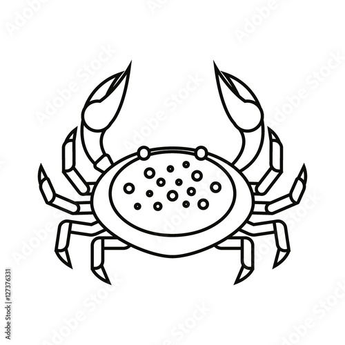 Flat thin line crab isolated on white background - vector illustration. Sea water animal icon. Zodiac cancer.