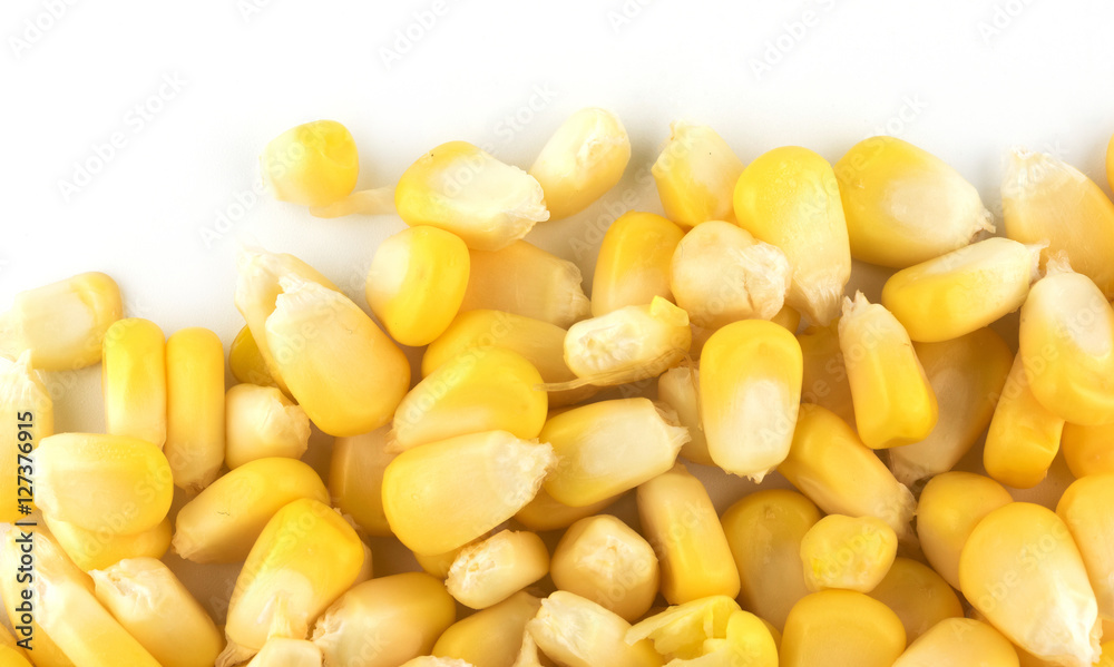 Corn on white background Corn on white background